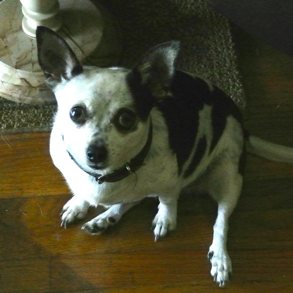 Meet your Posher, Shellee` - Picture 3 of 10